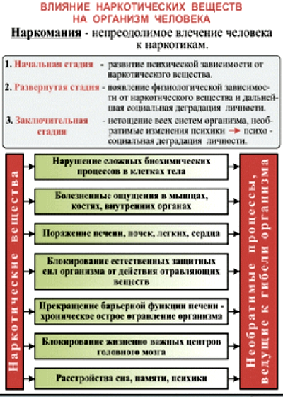 Контрольная работа по теме Влияние наркотиков на организм человека